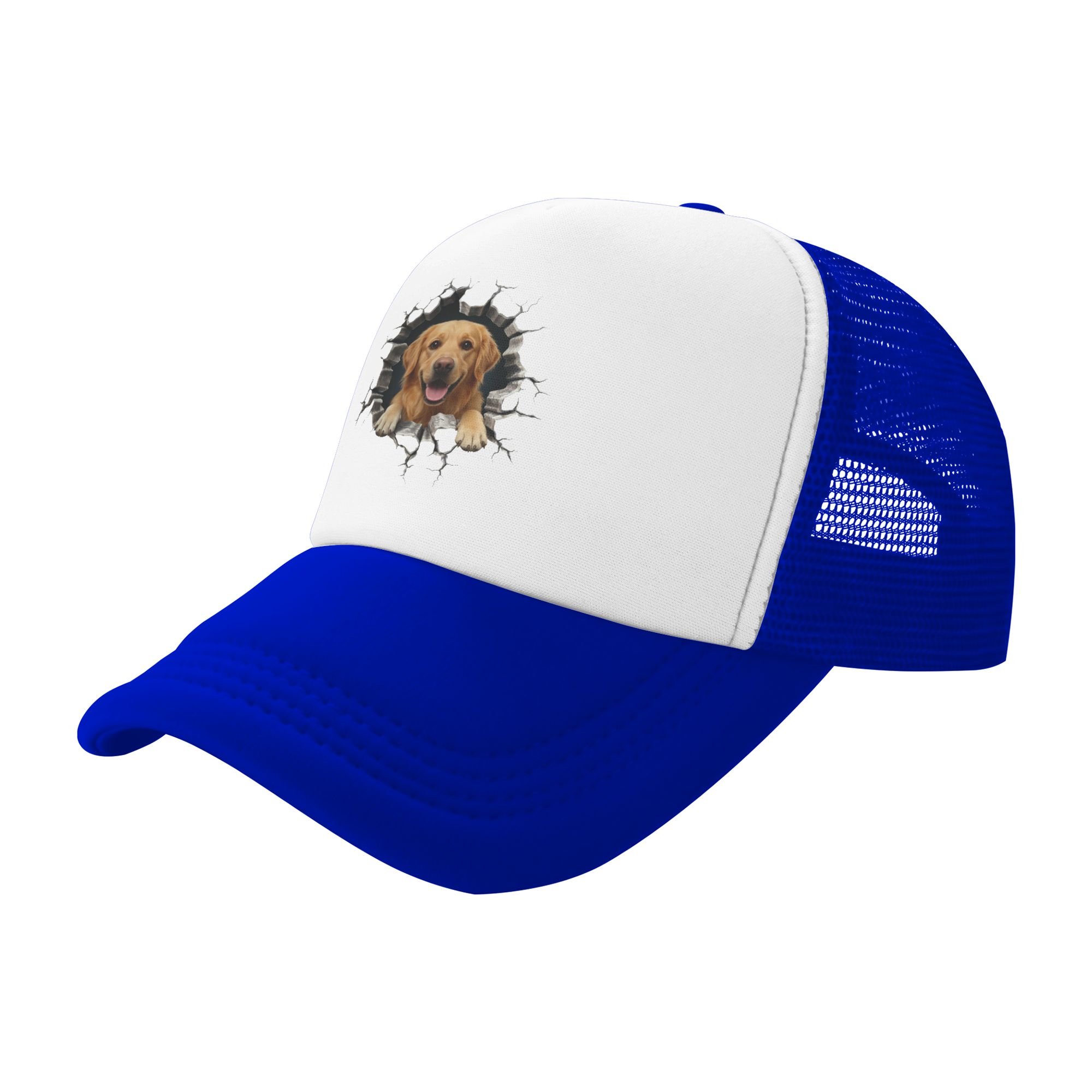Breaking Through Golden Retrie - Hat Snapback Cap incelemesi ve fiyatı